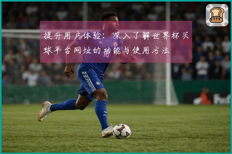 提升用户体验：深入了解世界杯买球平台网址的功能与使用方法