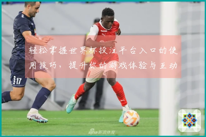 轻松掌握世界杯投注平台入口的使用技巧,提升你的游戏体验与互动乐趣
