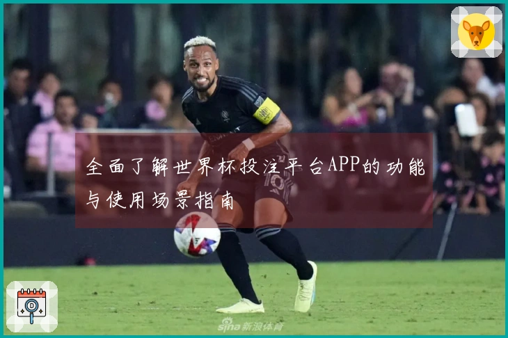 全面了解世界杯投注平台APP的功能与使用场景指南