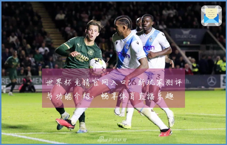 世界杯竞猜官网入口：新玩家测评与功能介绍，畅享体育直播乐趣