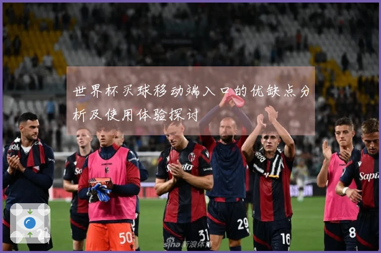 世界杯买球移动端入口的优缺点分析及使用体验探讨