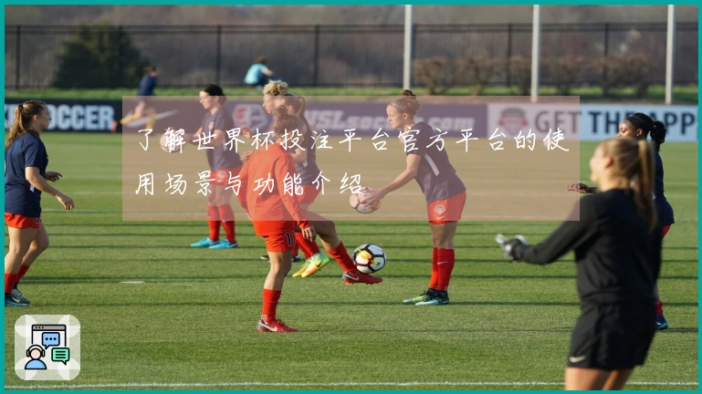 了解世界杯投注平台官方平台的使用场景与功能介绍