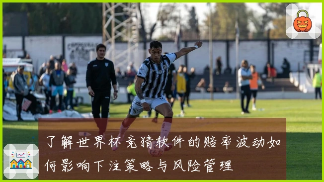了解世界杯竞猜软件的赔率波动如何影响下注策略与风险管理