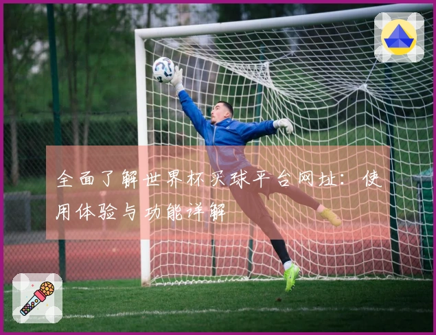 全面了解世界杯买球平台网址：使用体验与功能详解