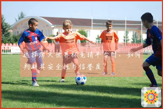 选择烽火世界杯竞猜平台时，如何判断其安全性与信誉度？
